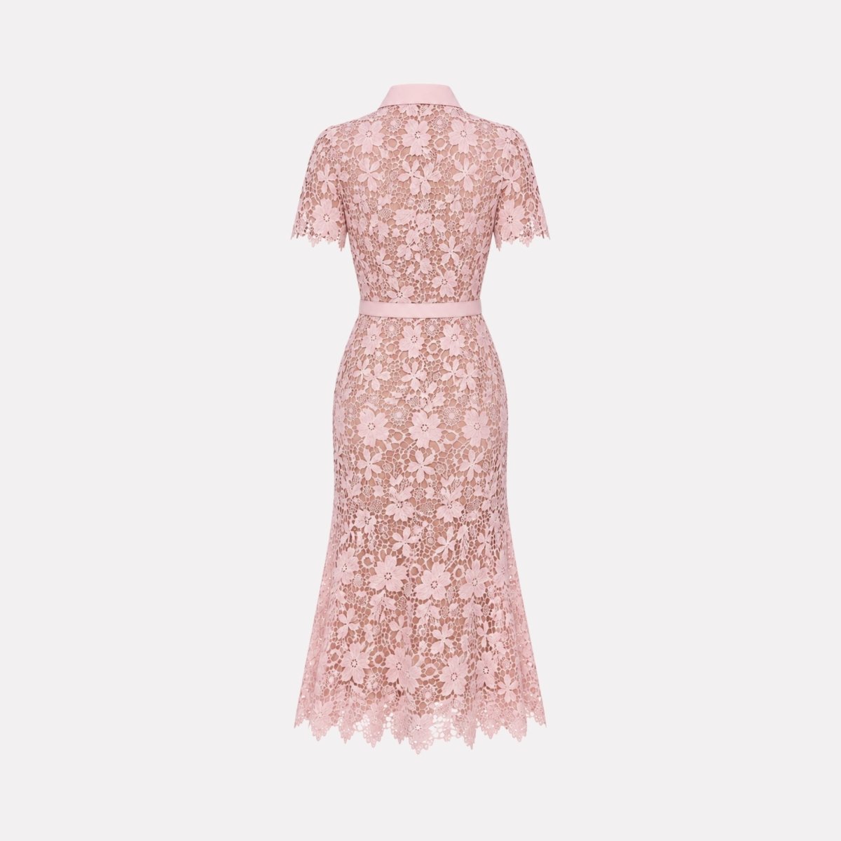 Floral Lace Midi Shirt Dress – Belted Button-Front Collared